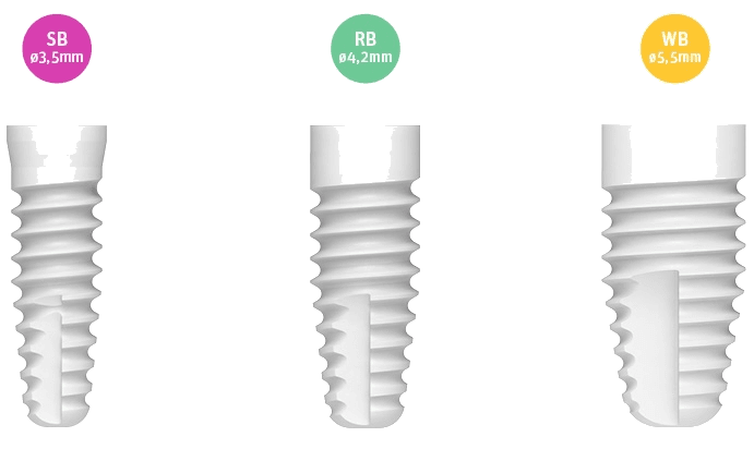 Zeramex Protetik Parçalar — orijinal ürün fotoğrafı — CSR Dental